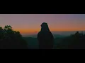 Download Lagu Mortimer - Not A Day Goes By (Official Visualizer)