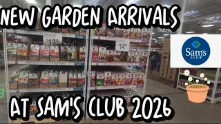 It s Here New Spring Bulbs Arrivals At Sam s Club