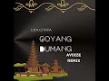 Download Lagu Cita citata-Goyang Dumang(AVOIZE Remix)