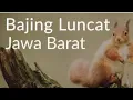 Download Lagu Lagu Sunda Mahal Pisan \