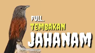 Download MASTERAN BURUNG LOMBA || FULL TEMBAKAN JAHANAM MERESAHKAN MP3