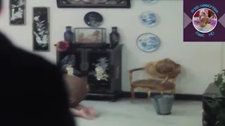 أقدام وفاء عامر    دندنها