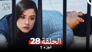موسم الكرز الحلقة 28 الجزء 1 مدبلج بالعربية 