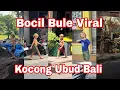 Download Lagu KOC0NG BOCAH BUL€ YANG VIRAL DI UBUD BALI