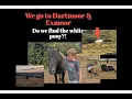 We go on the hunt for the Dartmoor Exmoor ponies Day 2 of our holiday and it s packed with ponies