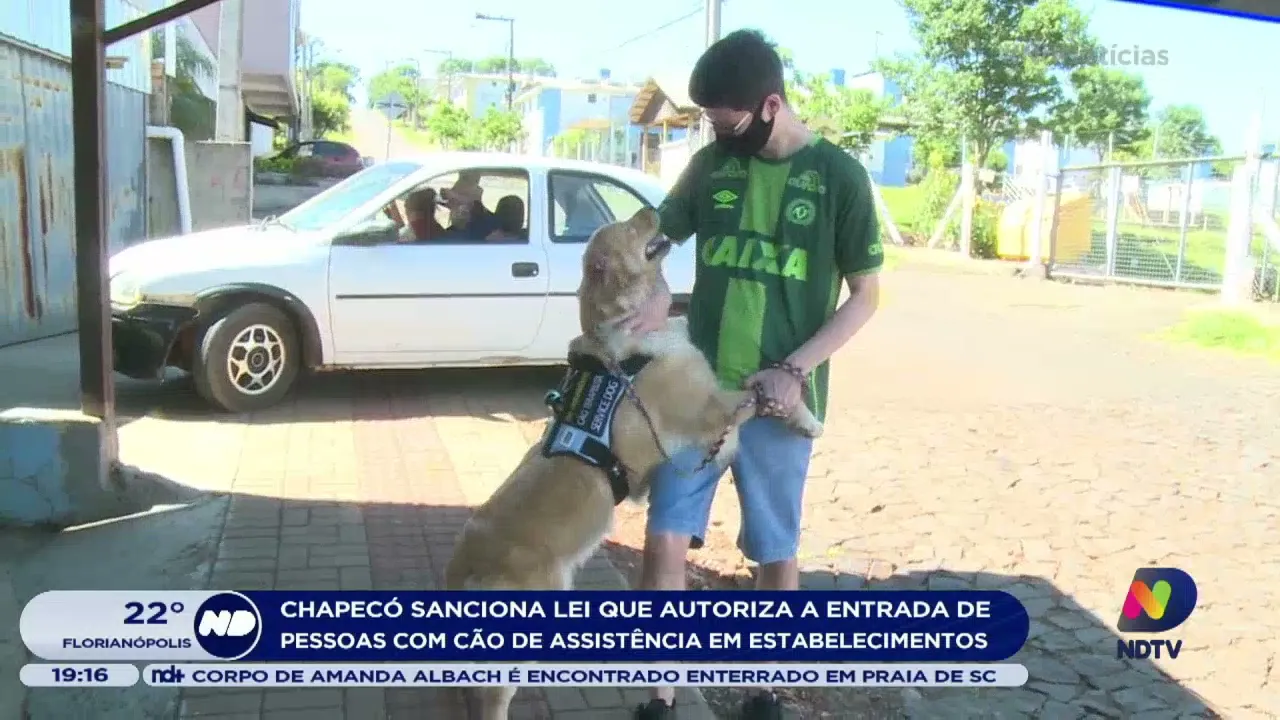 Chapecó sanciona lei que autoriza a entrada de cão de assistência em estabelecimentos