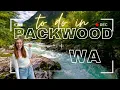 What TO DO in PACKWOOD Washington after visiting MOUNT RAINIER National Park