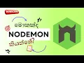 What is Nodemon Stop Restarting Your Node js Server