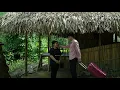 Download Lagu Thanh verlaat het bedrijf om in het bos te gaan wonen met een arm meisje || Ly Tieu Isa
