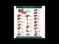 Lunds byerlys SUPER weekly special deals AD coupon vol1