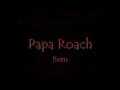 Papa Roach - Burn (Uncensored and Lyrics)