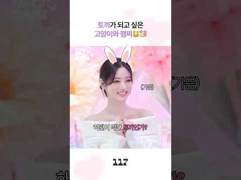 꿈꾸던 토끼가 되었나요?🐇