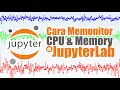 Monitoring CPU Memory Usage di JupyterLab