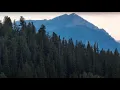 44 Aerie Drive Silverthorne Luxury Unveiled Mountain Modern Dream by the KDG Team