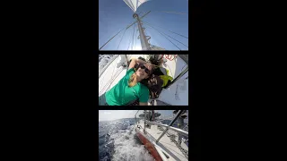 The most important Trip ⛵️#shorts