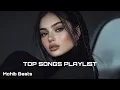 Download Lagu Mohib Beats Top Songs Playlist - 2024