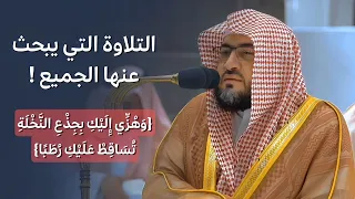  وهزي إليك بجذع النخلة تساقط    تلاوة حجازية خاشعة للشيخ بندر بليلة   التلاوة التي يبحث عنها الجميع  دندنها
