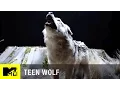 Video di Teen Wolf (Season 6) | 'Beacon Hills Museum' Official Promo Teaser | MTV