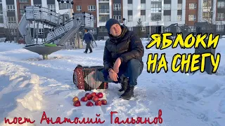 ЯБЛОКИ НА СНЕГУ под гармонь 