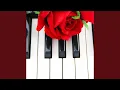 Tranquil Oasis in Piano s Mindful Attunement