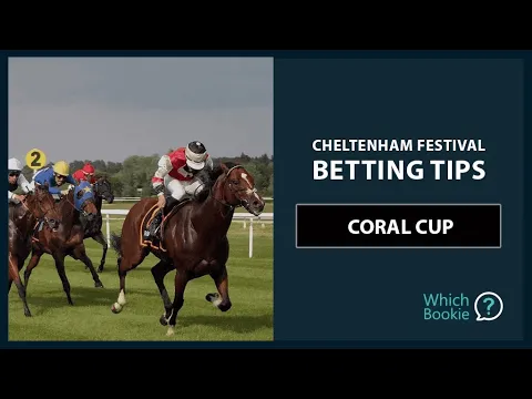 This advice is about a steed that has truly garnered my attention recently during his last handicap hurdles at Naas and Leopardstown.