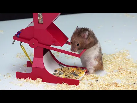 Hamster Food Dispenser
