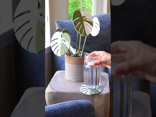 Cactus Coasters - Magnetic Cactus Coaster Set video thumbnail