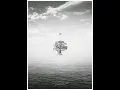 Download Lagu EXO - BIRD [Full Audio]