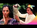 Download Lagu Gore Rang Pe Na Itna Gumaan Kar | Roti (1974) | Rajesh Khanna | Mumtaz | Kishore Kumar Superhit Song Download Lagu Gore Rang Pe Na Itna Gumaan Kar | Roti (1974) | Rajesh Khanna | Mumtaz | Kishore Kumar Superhit Song