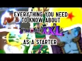 EVERYTHING You Need To Know When Starting Project XXL Project XXL