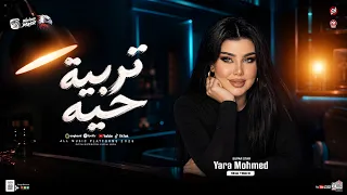 يارا محمد        بحارب وحدي في ديابه   تربية حيه   في وشي بيقلبو غلابه   ترند التيك توك   شعبي      دندنها