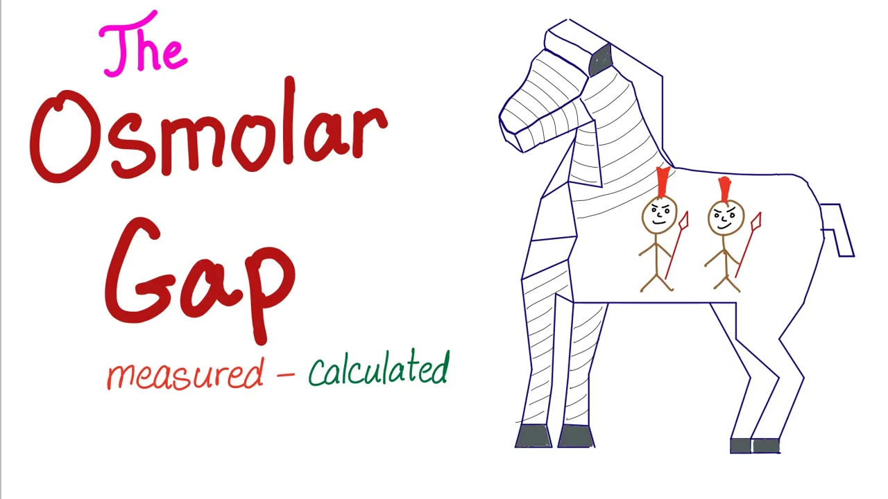 The Serum Osmolar Gap - It Doesn’t Really Exist! - ABG, Fluids and Electrolytes