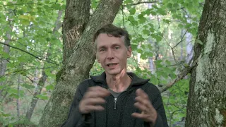 LE TEMPS DES FORÊTS de François-Xavier Drouet - Intervention de Gaëtan Du Bus