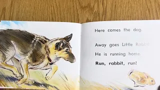 Run rabbit run