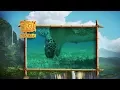 Download Lagu The Jungle Book Safari - Episode 4 -  Underwater Hunters And Fishers