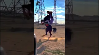 الخيل من خيالها 