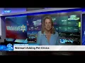 Money Matters Walmart to add pet clinics
