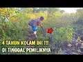 Download Lagu 4 TAHUN KOLAM INI ‼️DI TINGGAL PEMILIKNYA , HAMA BELUT TERNYATA BIKIN IKAN HABIS .