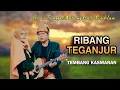 Download Lagu RIBANG TEGANJUR - Gitar Tunggal Lipi Kinal FT Wasmi
