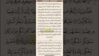 سورة الانسان من آيه ١٦ الى ٣١ مكرره ١٠ مرات بصوت الشيخ علي الحذيفي 
