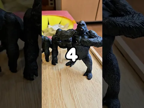 Gorilla and Ambulance Toys