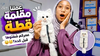 عملنا مقلمه على شكل قطه 🤍😸