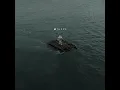HOPE - NF