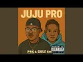 Download Lagu Juju Pro MP3