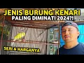 Download Lagu JENIS KENARI PALING DIMINATI 2024‼️SERI DAN HARGANYA