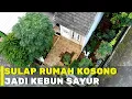 Download Lagu Kemandirian Pangan dari Kebun