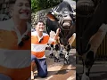 Download Lagu Sapi Kurban Irfan Hakim Ngamuk, Sundul Kameramen hingga Terpental Bikin Panik tapi Selamat