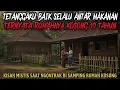Download Lagu TETANGGA SEBELAH SELALU ANTAR MAKANAN, TERNYATA RUMAHNYA SUDAH LAMA KOSONG - cerita mistis