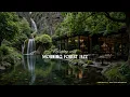 Download Lagu Morning Forest Jazz | Calming Jazz In Living Room By The River With Cafe For Working, Relaxing