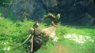 Wild Hearts Jumping Grab Wall Climb Get to Pet Kemono or Defeat Kemono